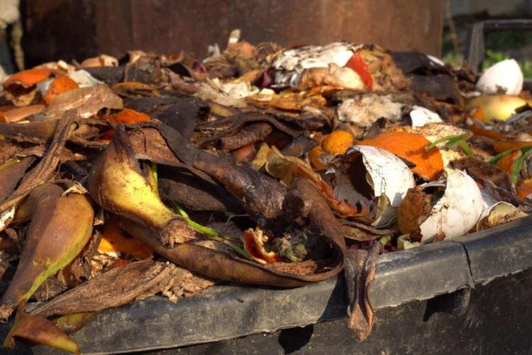 Composting correctly: tips & tricks about your own compost