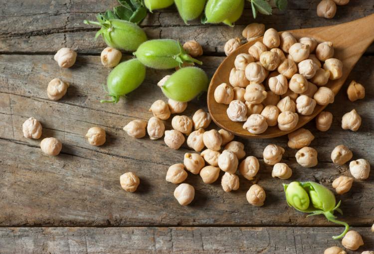 Chickpeas: Tips On Planting, Caring For & Harvesting The Funny Pea