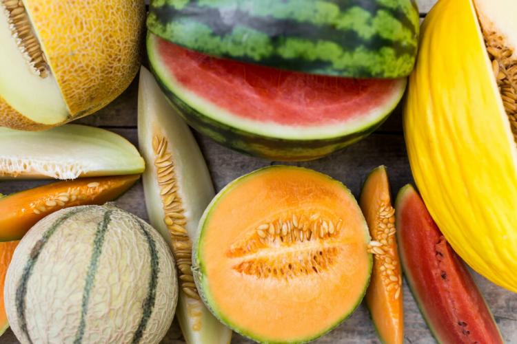 The Best Melons Types For Growing in The USA