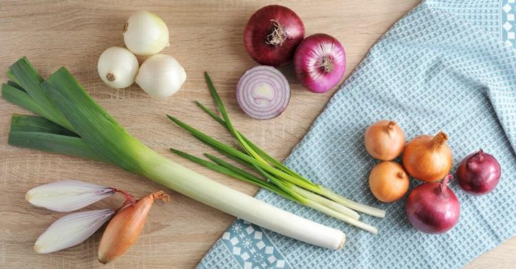 What Is The Difference Between Leeks, Onions And Spring Onions?