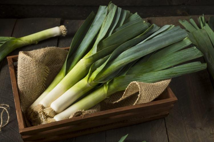What is the difference between leeks, leeks, onions & spring onions?
