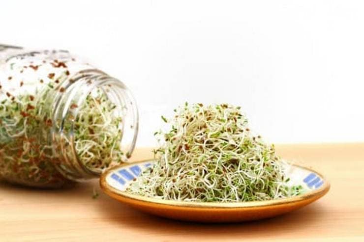 Sprout Jar: Ideal For Growing Sprouts