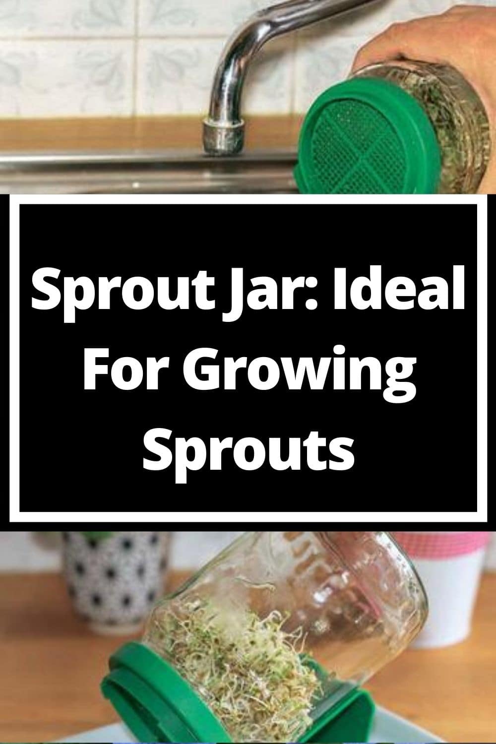 sprouts jar-pinterest