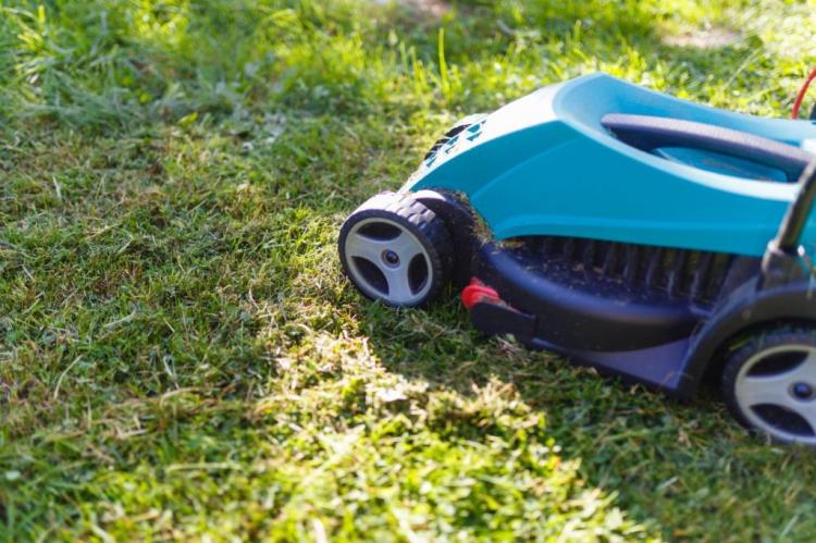 Scarifying Lawn: Why, When And How Often?