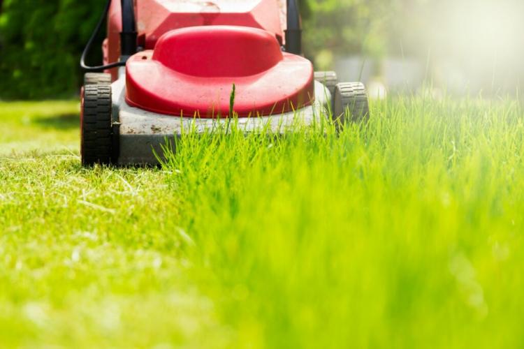 Lawn after winter: first mowing, fertilizing & scarifying