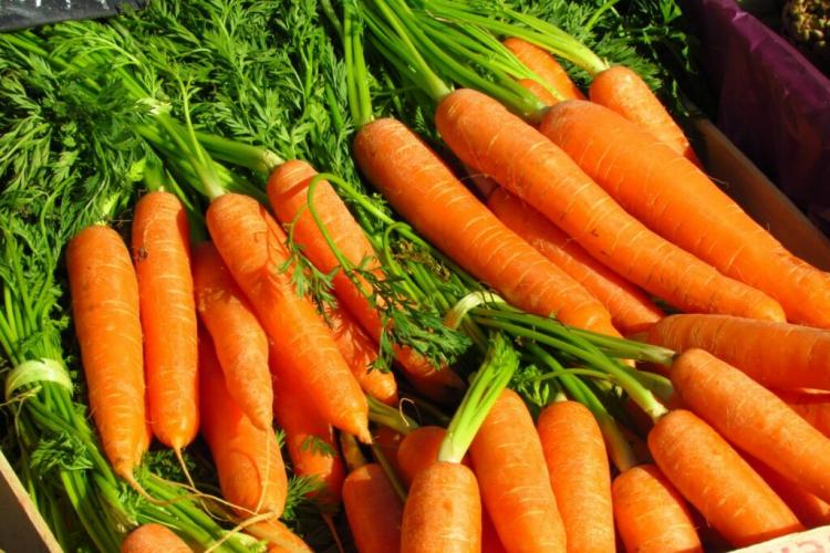 Carrot varieties: new & old carrot varieties at a glance