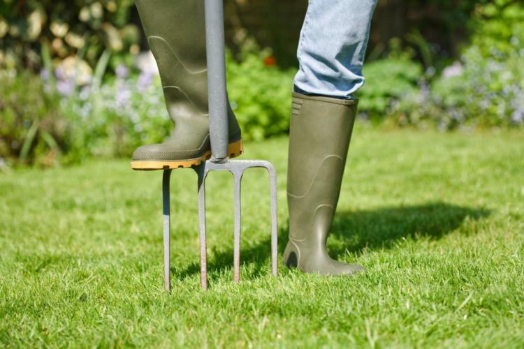 Ventilating the lawn: advantages & procedure for aerating the lawn?