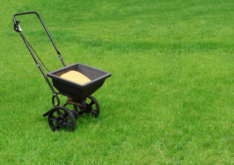Scarifying, aerating & sanding lawns: what is best when?