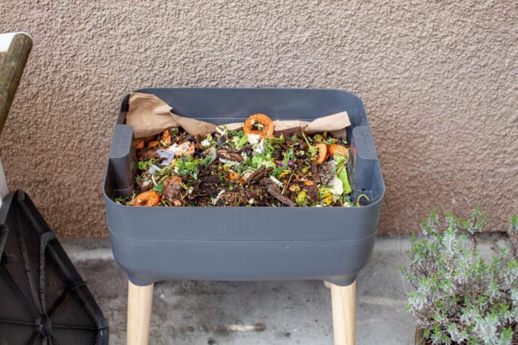 Compost worms: types, function & tips for propagation