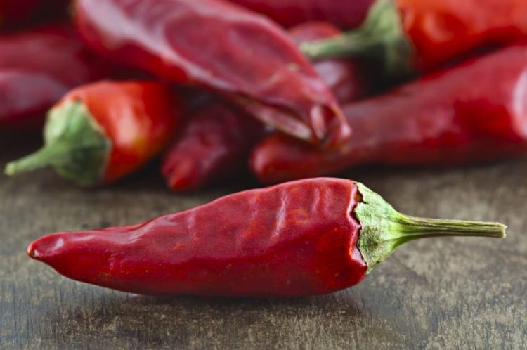 Chili: Everything you need to know about planting, caring for and wintering