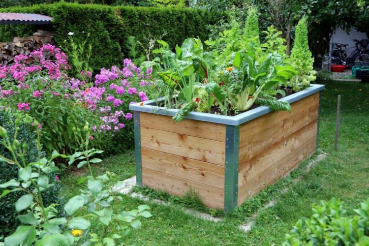 What’s better: Build A Raised Bed By Yourself Or Buy?