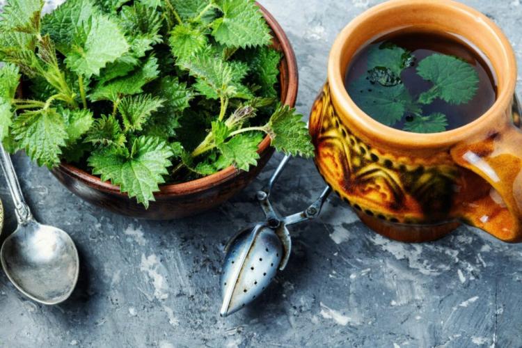 Alkaline herbs: the best herbs for alkaline cuisine