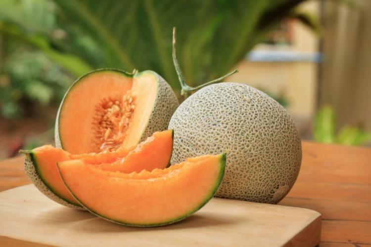 Cantaloupe Melon: Everything You Need To Plant And Care For The Sugar Melon