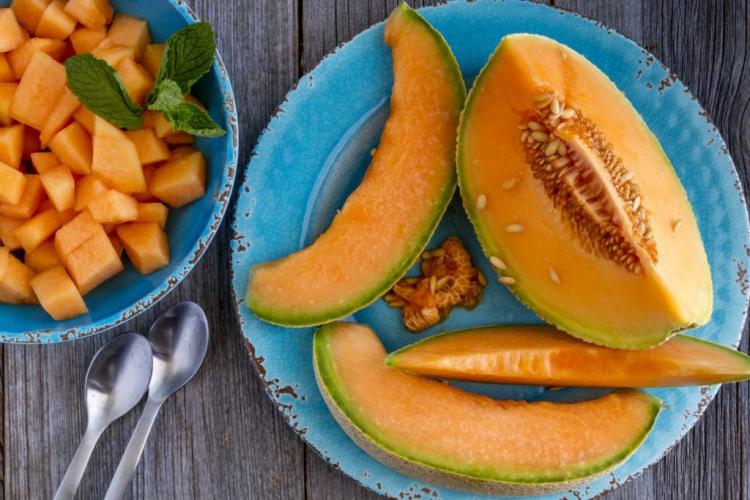 Cantaloupe melon: everything you need to plant and care for the sugar melon