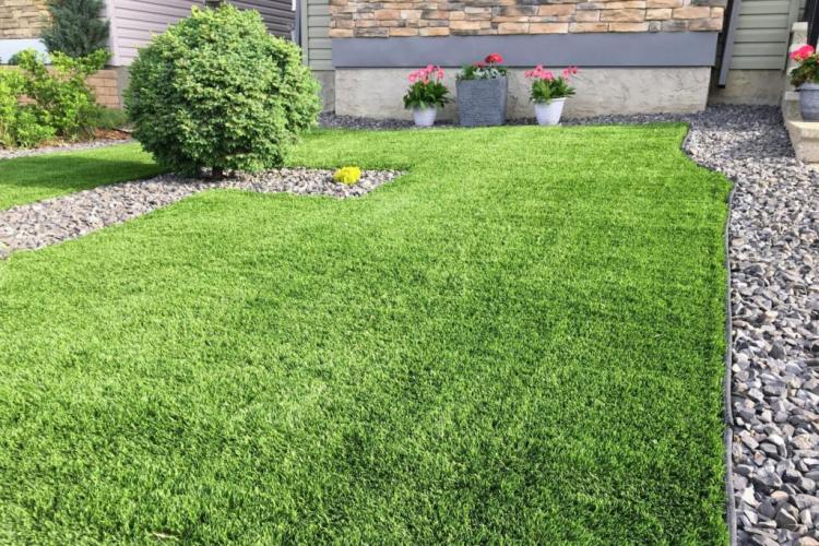 New lawns: this is how it is guaranteed to succeed even without expensive turf