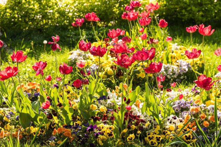 Gardening in April: Everything at a glance!