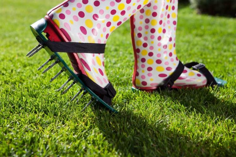 Ventilating The Lawn: Advantages And Procedure For Aerating The Lawn?