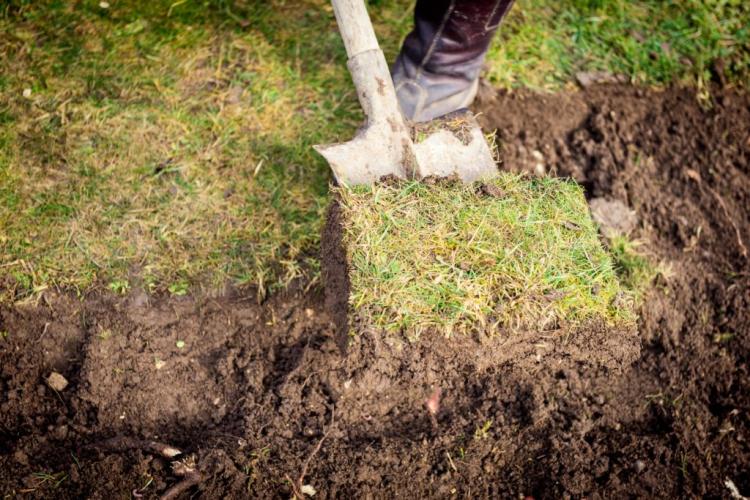 Mending & Repairing Lawn: Alternatives to Renewing Lawn