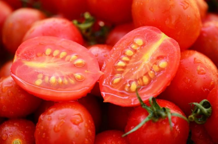 How to make tomato seeds yourself: the correct way to dry the seeds