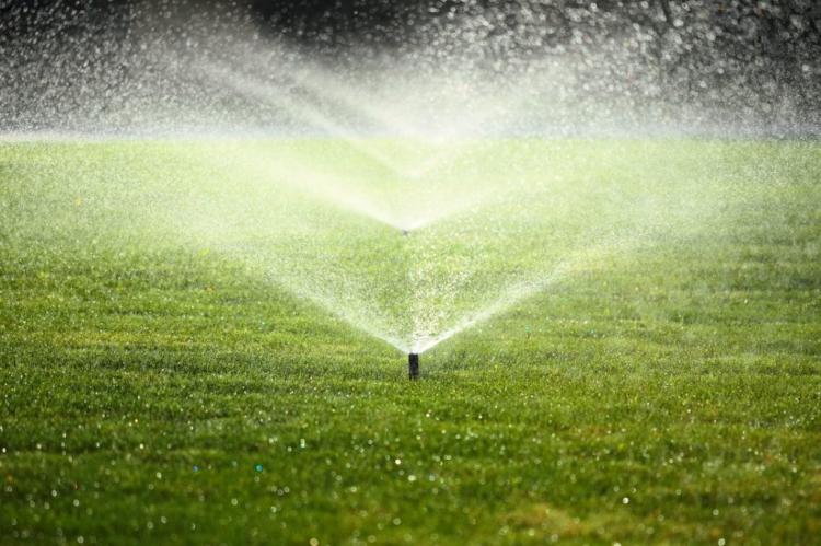 Lawn care all year round: what is important and when