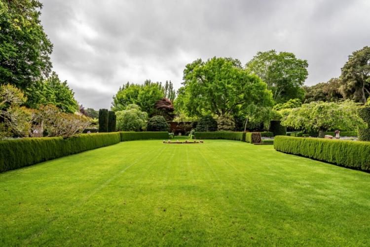 What is a dry lawn, what makes it special & how do you put it on?