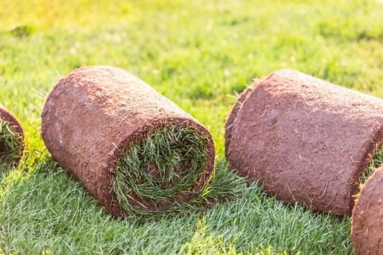 Laying turf: advantages & expert guidance