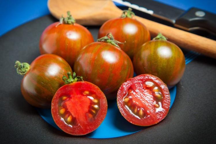 Black zebra tomato: everything about care and cultivation