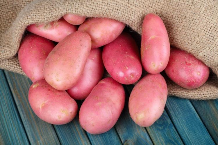 Red Potatoes: Varieties, Cultivation & Uses Of Red-Skinned