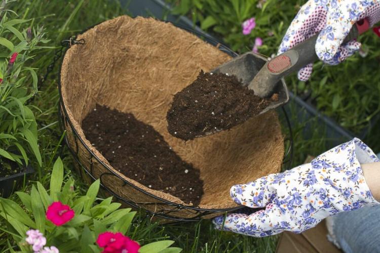 Peat Substitutes: 11 Alternatives To Peat In The Ground