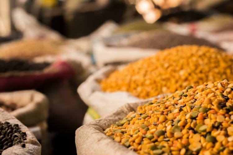Lentils: Pro Tips For Care And Grow A Healthy Vegetables