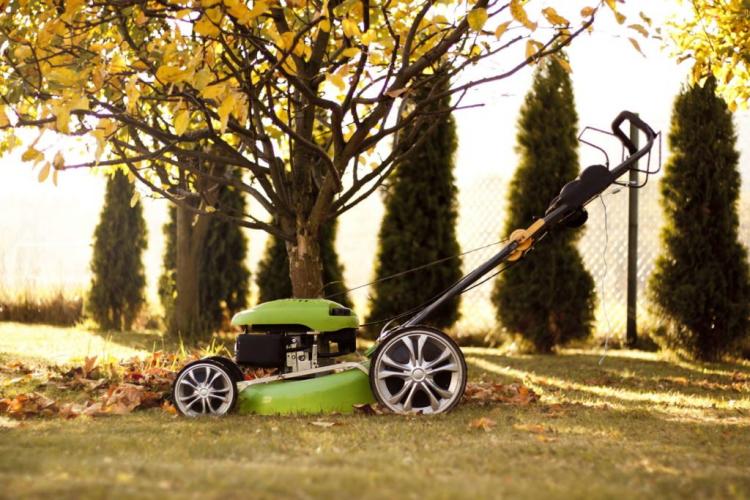 Winterize lawns & overwinter: tips from the experts