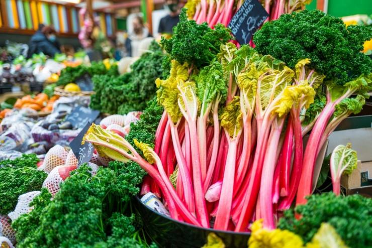 Harvesting Rhubarb: When Is Harvest Time And How To Do It?