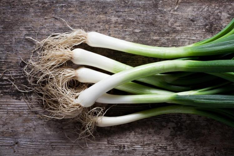 Spring onions: harvesting, storing and preserving