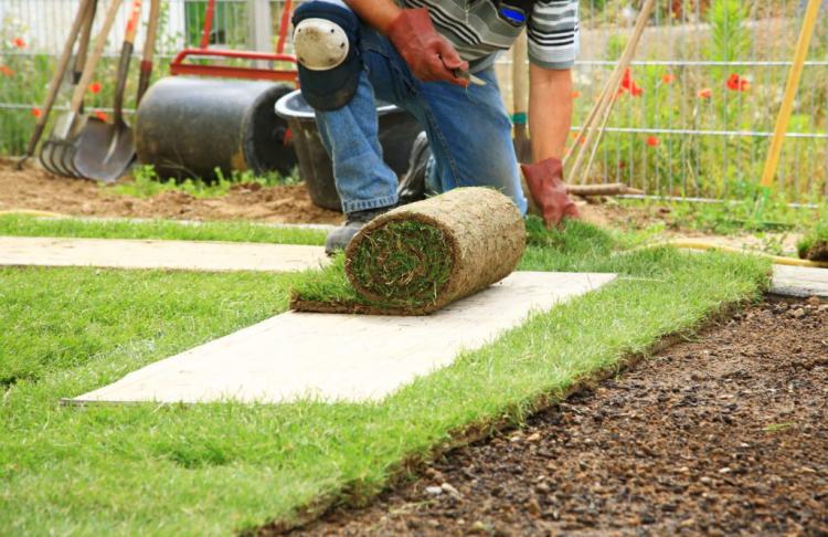 Laying turf: advantages & expert guidance