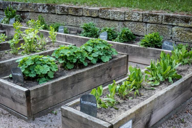 Raised Bed Location: How To Find The Right Place