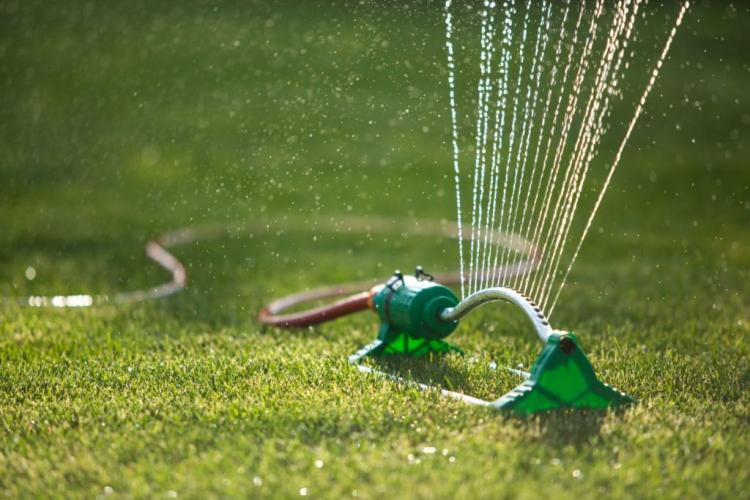 What is a dry lawn, what makes it special & how do you put it on?