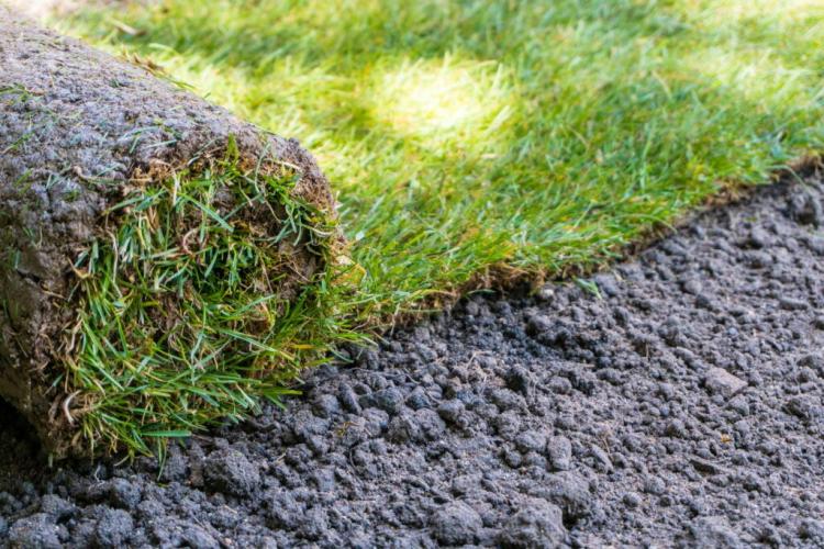 Laying Turf: Advantages And Expert Guidance