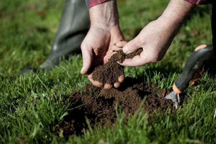 Soil Types: Loam Soil, Clay Soil, Determine Yourself