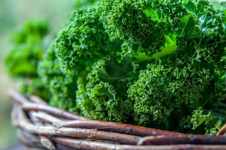 Kale: Origin, Origin And Synonyms