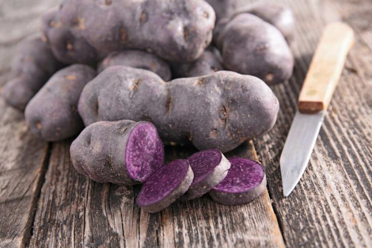 Purple Potatoes: Varieties, Cultivation & Uses Of Purple Potatoes