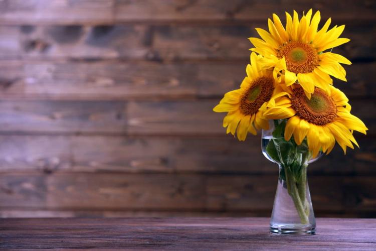 Sunflowers in the vase: cut off & put in hot water