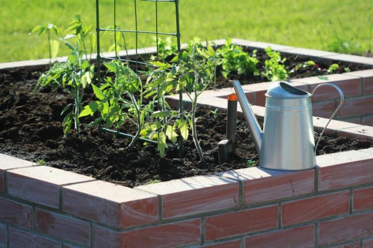 Build your own raised bed Vs. Buy a raised bed