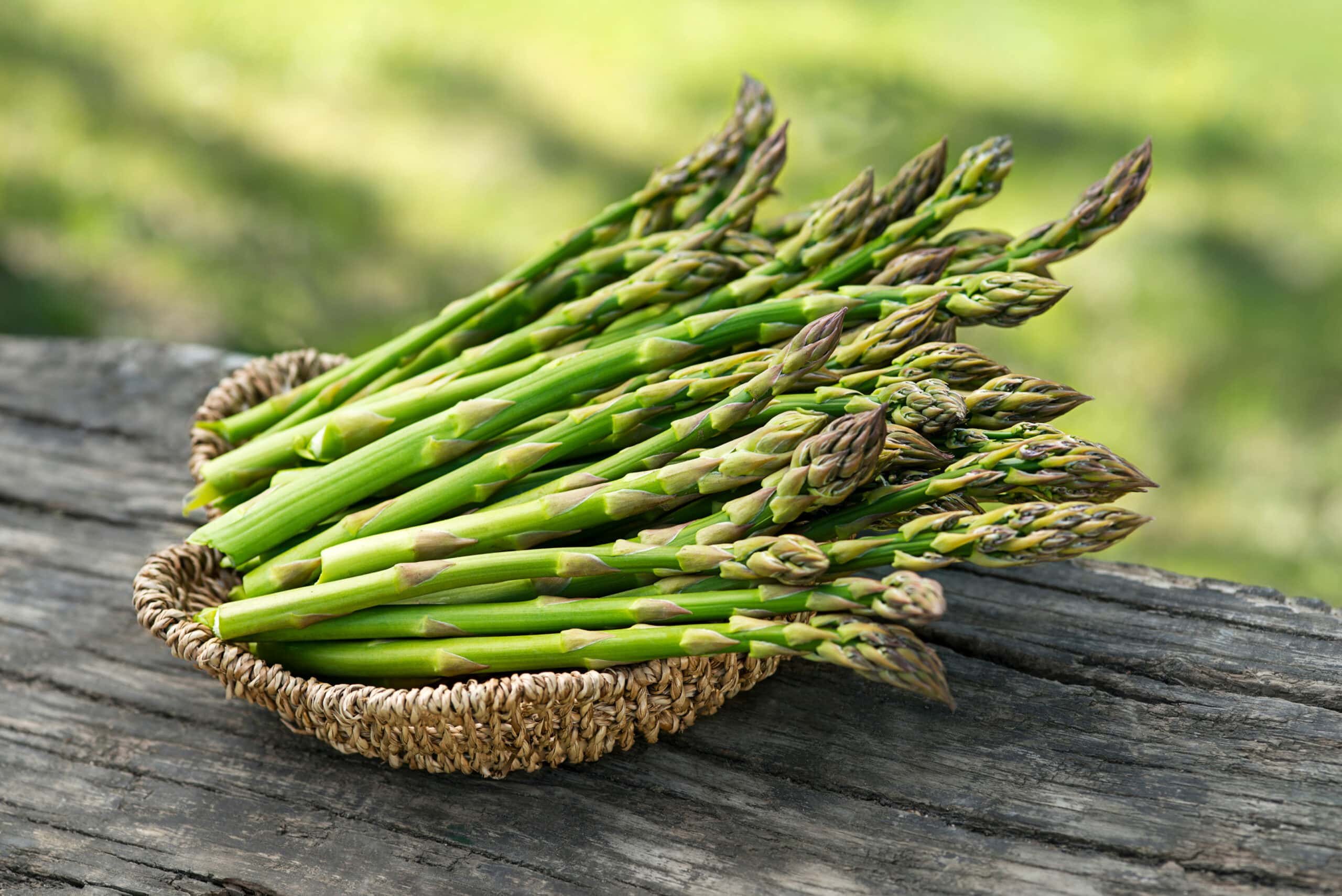 stages of growing asparagus
