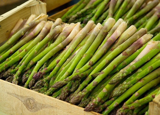 stages of growing asparagus basics