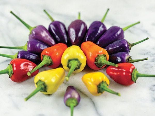 chinese 5-color peppers