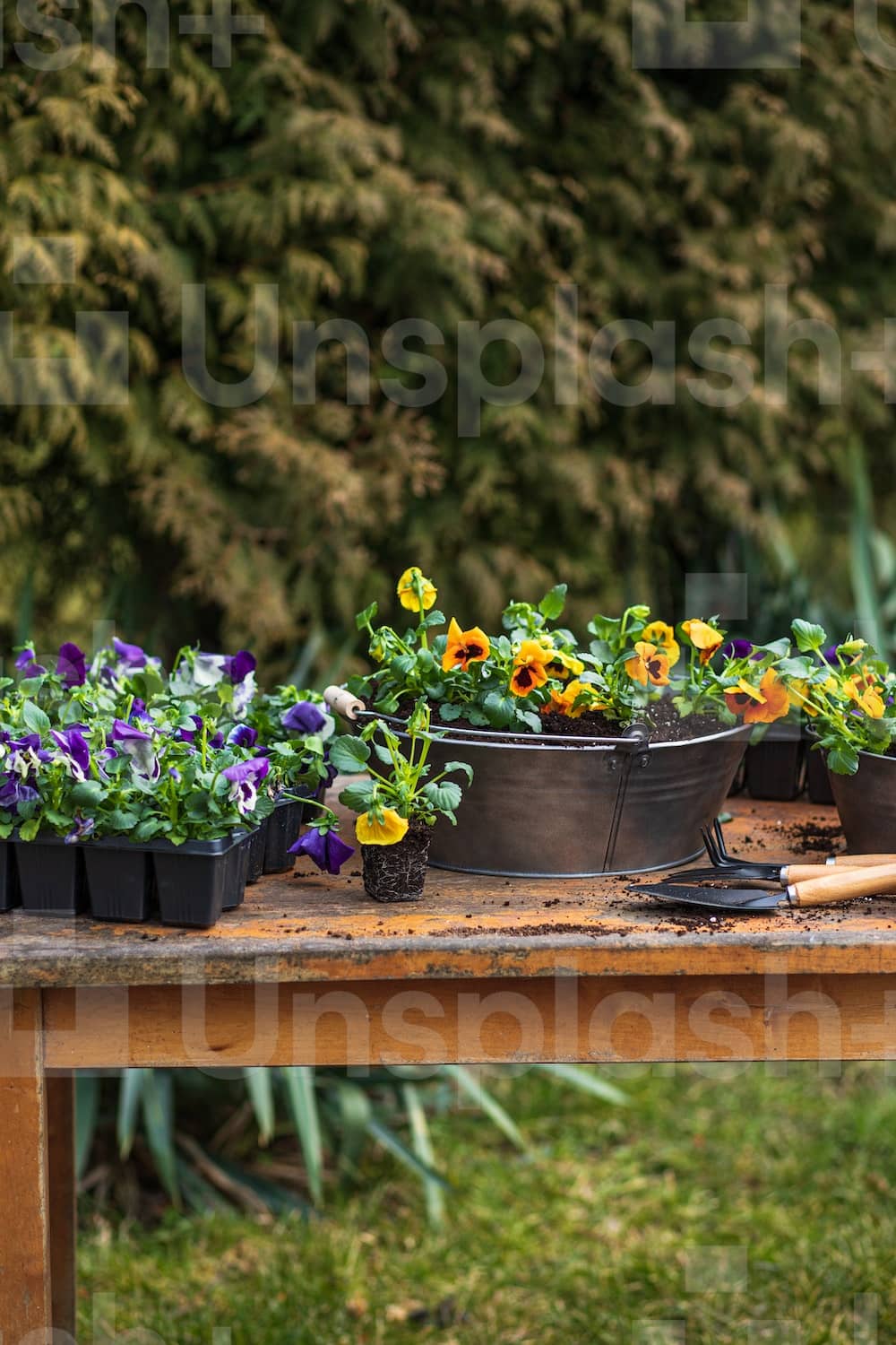 wooden table with potted plants