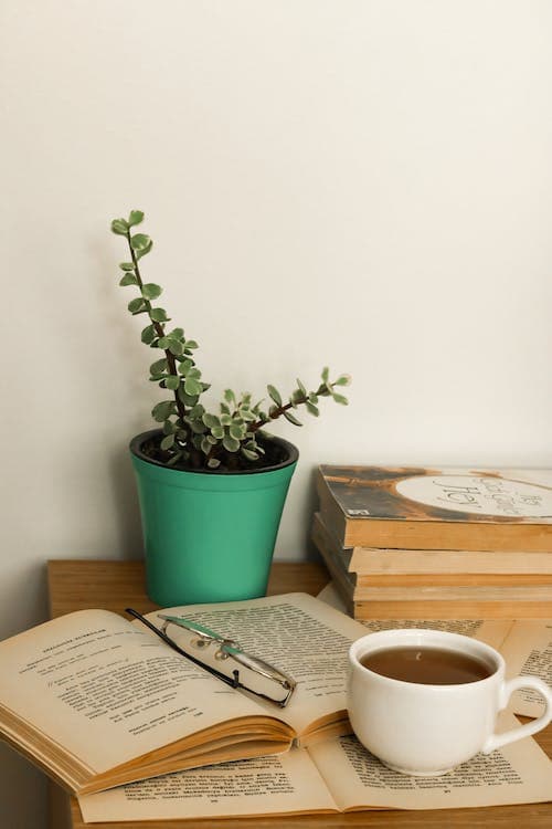 pothos on desk with books