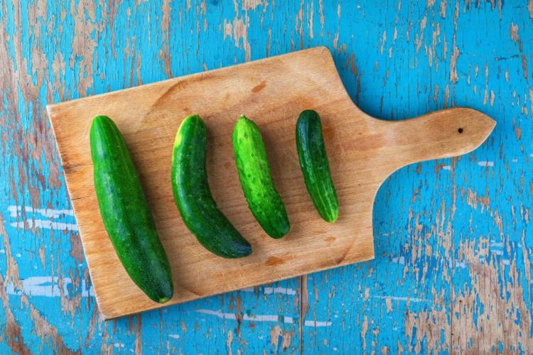 10 tips for making the best cucumbers from your own garden